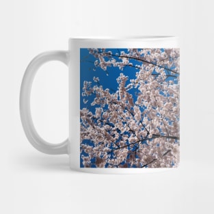 Cherry tree blossoms Mug